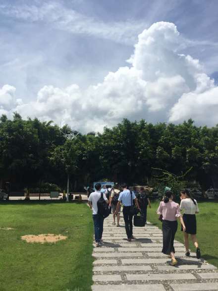 柏明顿集团咨询项目研讨交流会