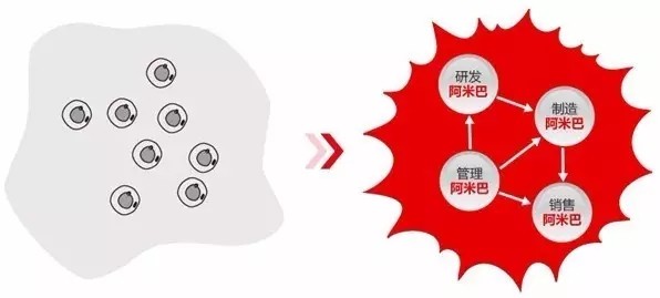 阿米巴